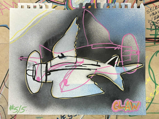 birdplane No. 5 – FLIGHT LOG SERIES
